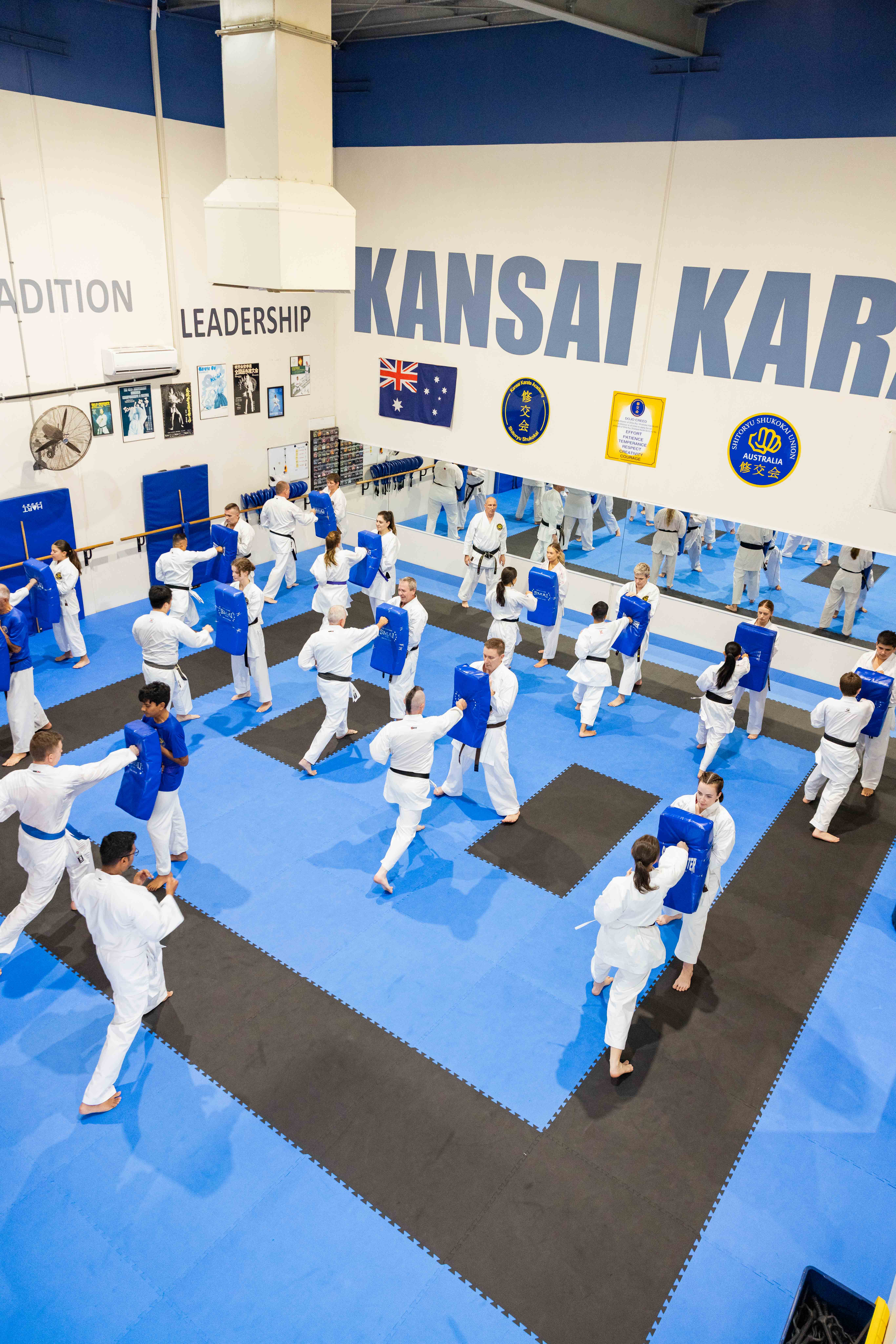 Adult Karate karate program
