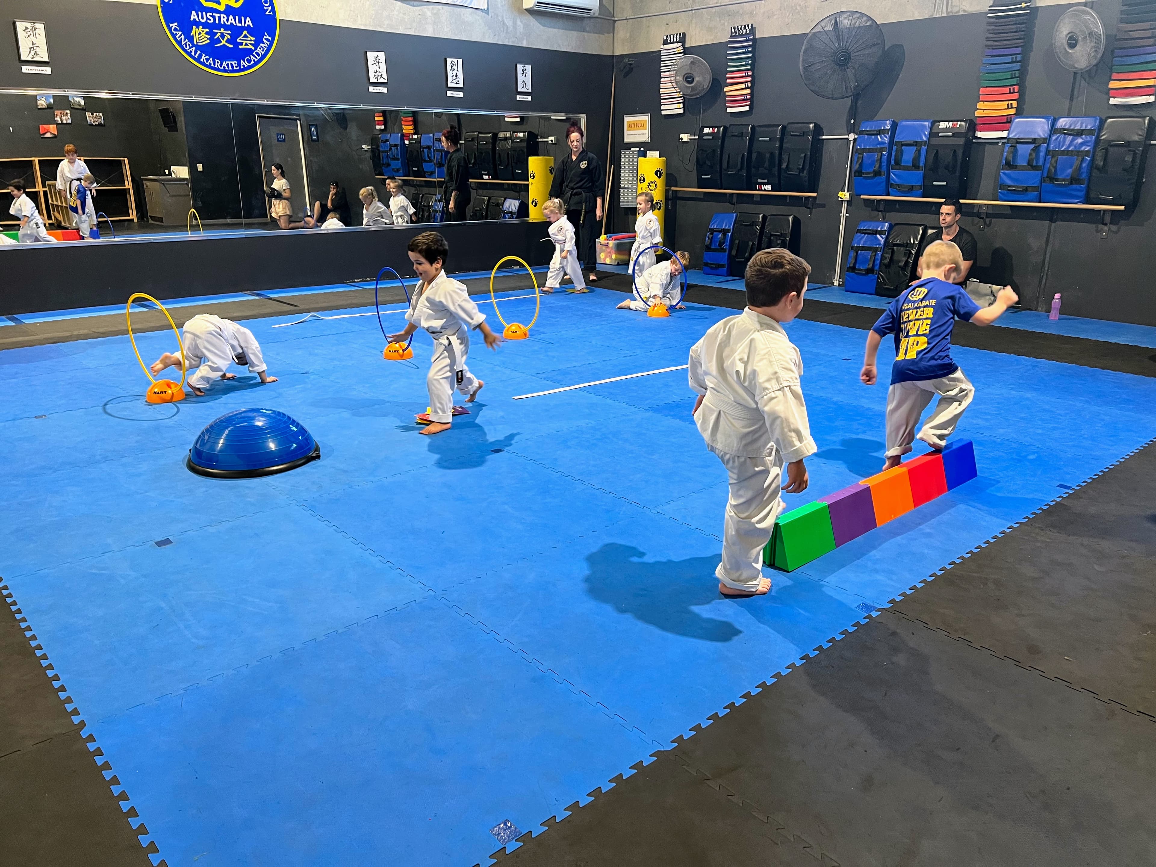 Cubs karate program