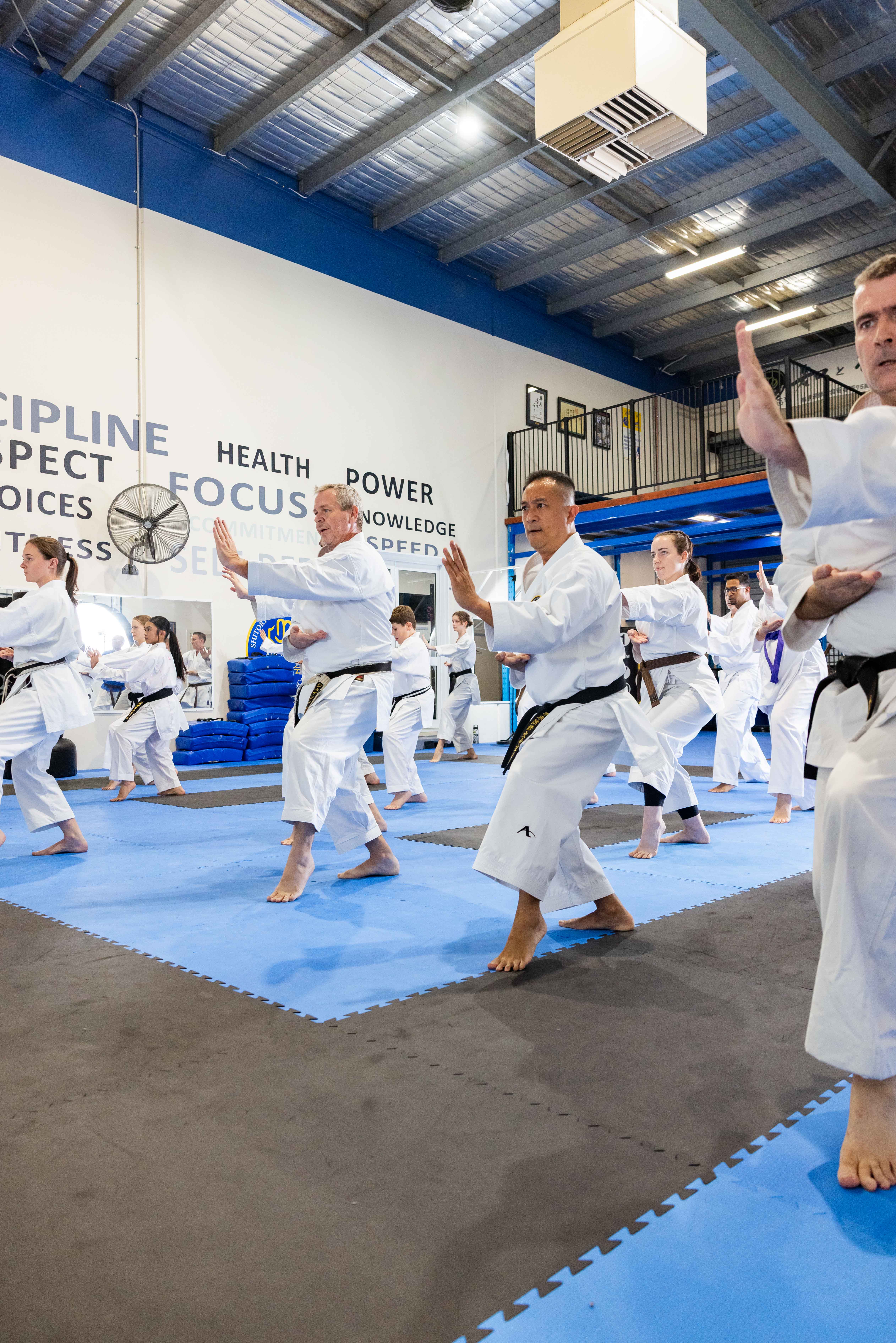 Adult Karate karate class